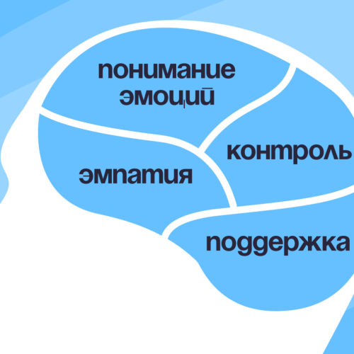 «Эмоциональный интеллект и профайлинг: управление поведением и снижение рисков»